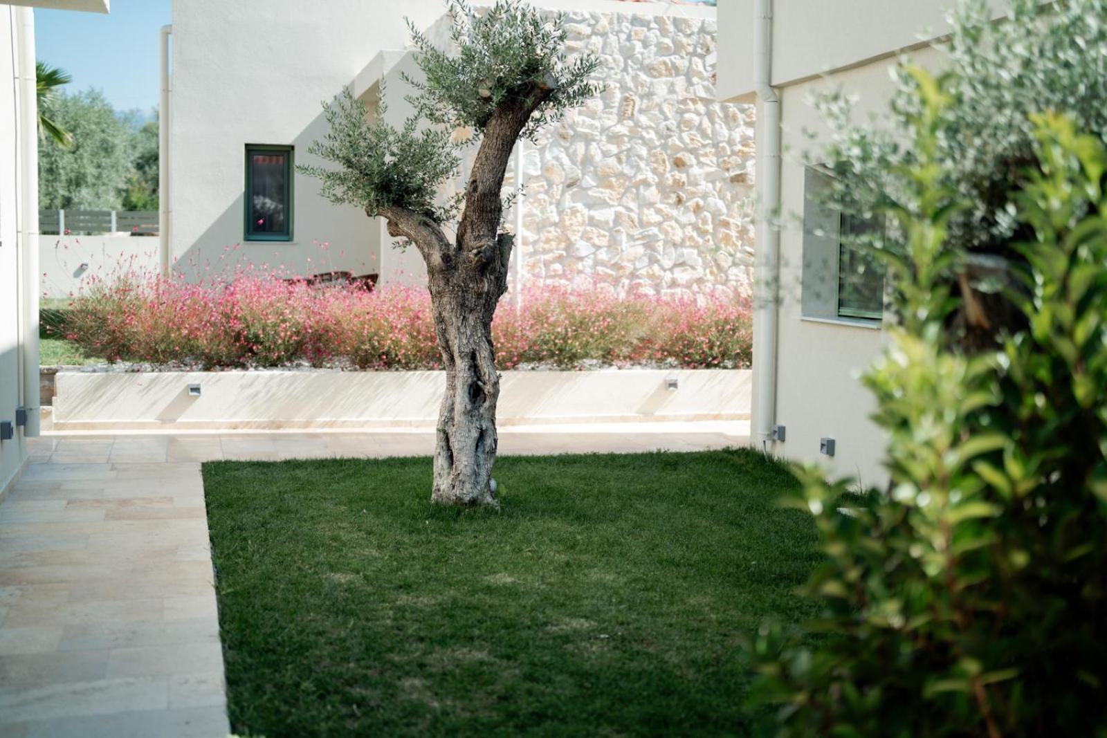 Magnolia Villas Potos Thassos エクステリア 写真