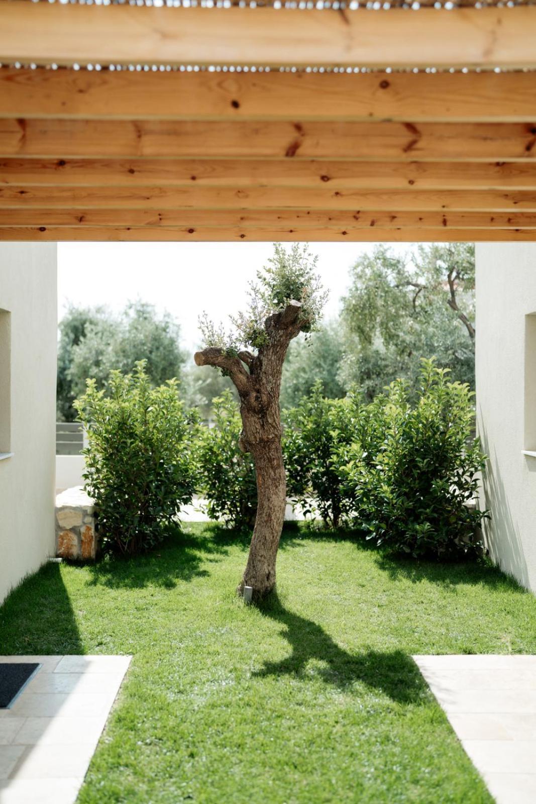 Magnolia Villas Potos Thassos エクステリア 写真